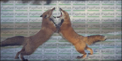The (Un)Importance Of PageRank