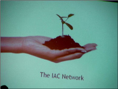 SES search ad panel representation of IAC network