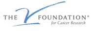 The-V-Foundation