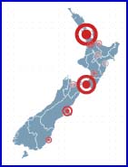 Twellow New Zealand