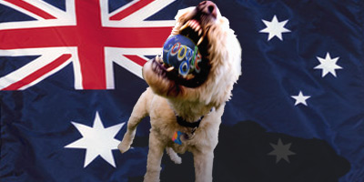  Aussie Watchdog Growls At Google US
