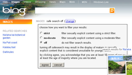 Bing image filter