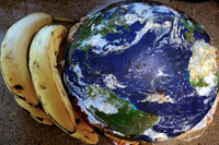 The Greenwash Guerillas
