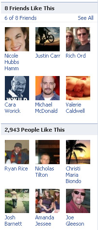 Facebook Pages Show you how many people like it and how many of your firends do.