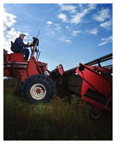 Open Communications And Rural Communities Open Communications And Rural Communities