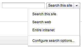 Google Site Search