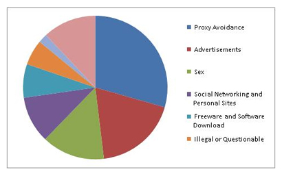 Social Networking Pie Chart