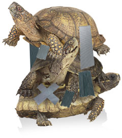 Stacked Internet Turtles