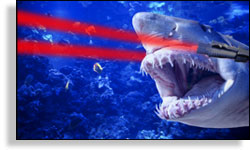 Terrorist Shark
