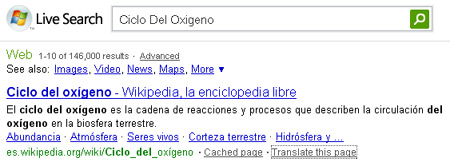 Live Search Translation