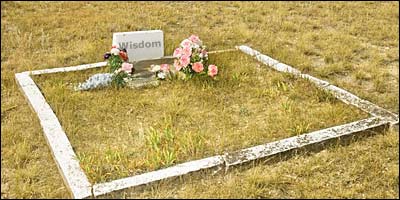 Wisdom of Crowds Is Dead