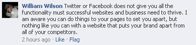 Social media replacing websites - Facebook discussion