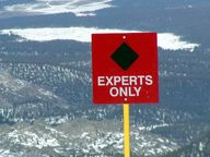 Experts Only
