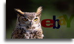 eBay Says You Should Wise Up