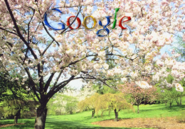 Watching The Google Seasons Change Watching The Google Seasons Change