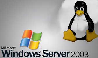 Which Server Environment Is More Secure? Tux Or 2003