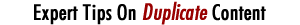 Expert Tips On Duplicate Content