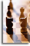 Google Apps No Microsoft Threat Yet