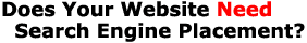 Does Your Website Need Search Engine Placement?