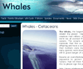 Site for Review