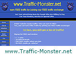 Site Review for traffic-monster.net