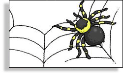 Spider Frequency in Google