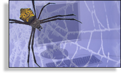 Microsoft New Webspider