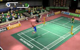 DECA Sports: Badminton Courty-Picture