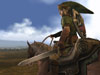Legend Of Zelda: Twilight Bridge Battle