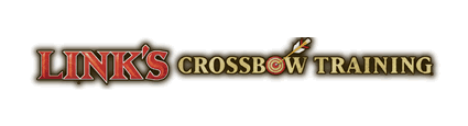 Link's Crossbow Training