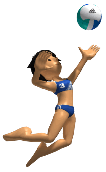 Deca Sports - Beach Volleyball