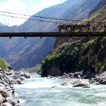 Rope Bridge on Machu Picchu Trail